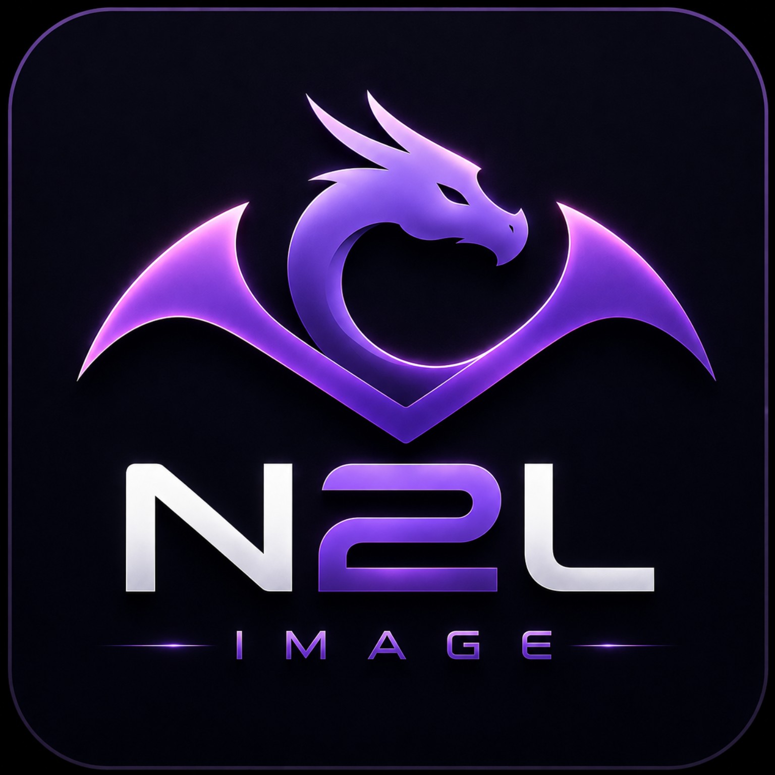 Logo N2L Image